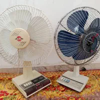 پنکه ایستاده در حد