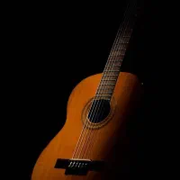 آموزش گیتار «خصوصی»