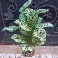 ۳ تا گلدون مصنوعی فوق‌العاده زیبا و پرطرفدار