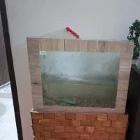 آکواریم