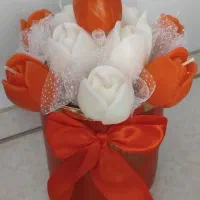 باکس قرمز و سفید