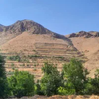 فروش-زمین-مناسب-برای-باغ