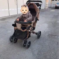 کالسکه دلیجان مدل بنیتا قهوه‌ای بدنه مسی