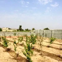 ۱۰۰۰متر زمین مناسب باغ ویلا و سوله