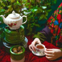 نیروی خدماتی خانم نیازمندیم