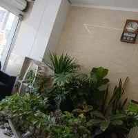انتهای ملک/ ۱۰۰متری/مناسب سالن زیبایی واموزشگاه