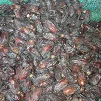 خرما|خوردنی و آشامیدنی|نیشابور, دارایی|دیوار