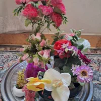 ۶عدد گل