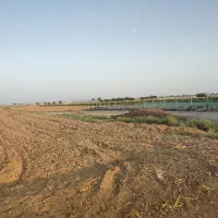 5000متر-زمین-کشاورزی-سند-تک-برگ