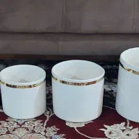 گلدون و استند