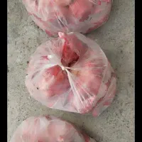 سلام مرغ تازه مخصوص حیونهای خونگی