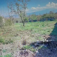 696متر مسکونی/لاهیجان/دور دیوار/سه بر/خاص و بینظیر