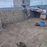 سرابی