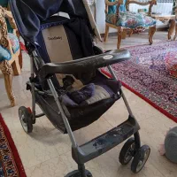 کالسکه گودبیبی