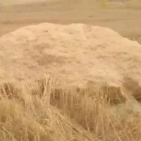 کاه فله