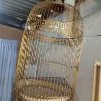 قفس پرنده