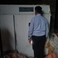 جوجه کشی ۲۷۰۰ تایی مرغ ۸۰۰۰ تابی بلدرچین و..|لوازم جانبی حیوانات|تهران, باغ فیض|دیوار