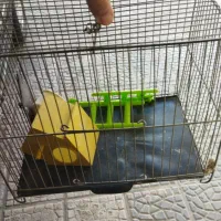 قفس پرنده بزرگ و کوچک با لوازم