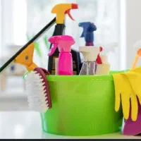 نظافت حرفه ای