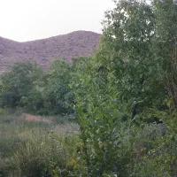 اجاره خونه باغ  در محدوده لاله زار