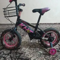 دوچرخه ۱۲درحدنوع