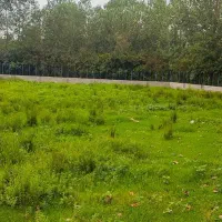 فروش-زمین-گردشگری-بومگردی-توریستی