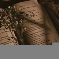 جذب تعدادی نویسنده و خرید رمان