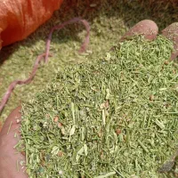 خارشتر بهترین خوراک دام