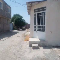 پخش عرقیات گیاهی