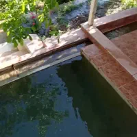 آلاچیق اجاره ای