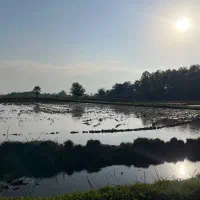 زمین-شالی-4000متری