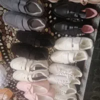 کفش اسپرت اصل فقط 250 تومان
