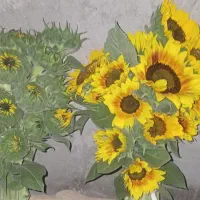 گل آفتاب گردان تزئینی