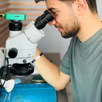 آموزش تخصصی تعمیرات موبایل/نصب دوربین مداربسته