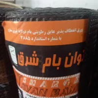 ایزوگام