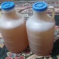 عسل اصل اییلاق