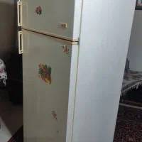 یخچال فریزر آزمایش