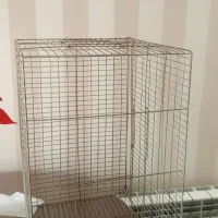 قفس پرنده یه جفت