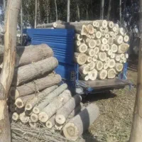 خرید چوب ودرخت