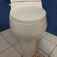توالت فرنگی