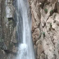دعوت به همکاری خانم