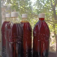 آبغوره درجه یک امساله