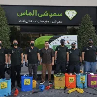 سمپاشی سم پاشی فوری وتضمینی ساس سوسک موش با ضمانت