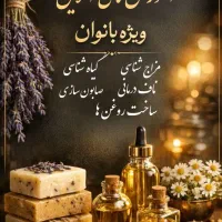 آموزش انلاین ویژه بانوان