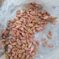 گندم مهرگان بوجاری شده