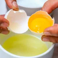 سفیده تخم مرغ