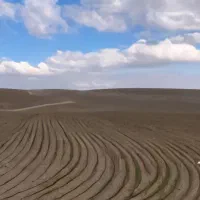 ۲۰جریب برابر۲۰هزارمترزمین