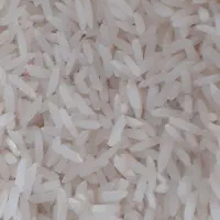 برنج هاشمی گیلان