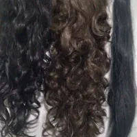 کلاه گیس ۱عدد|آرایشی، بهداشتی، درمانی|شیراز, جوادیه|دیوار