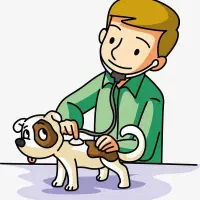 طرح ویژه عقیم سازی حمایتی سگ‌و گربه